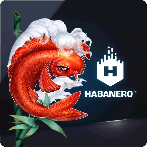 하바네로 슬롯